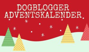 Dogblogger Adventskalender