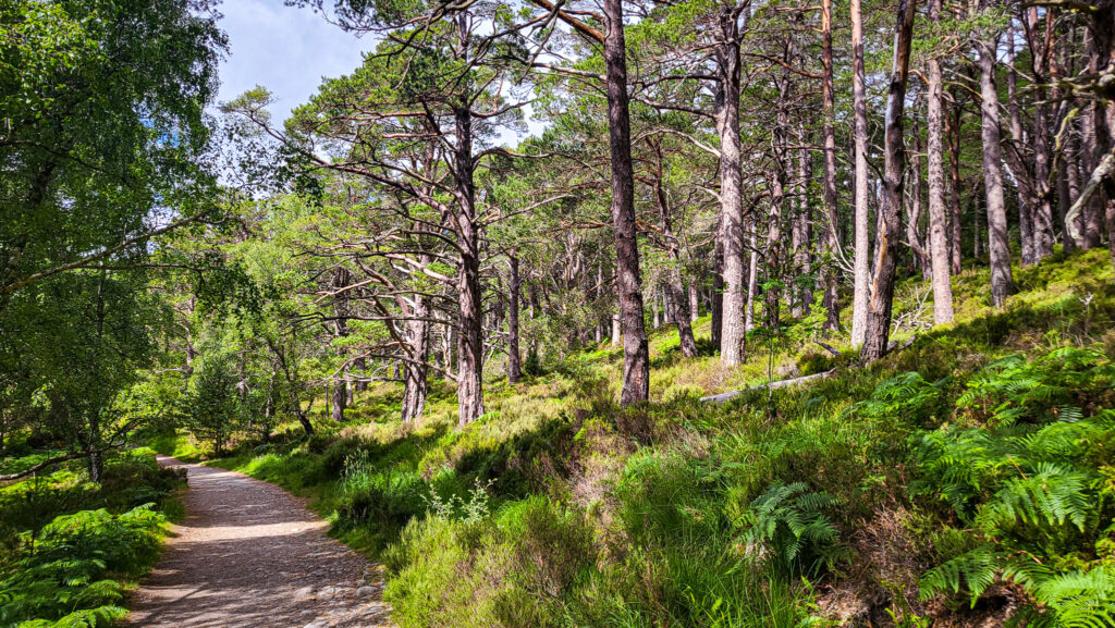 Wanderung um Loch an Eilein