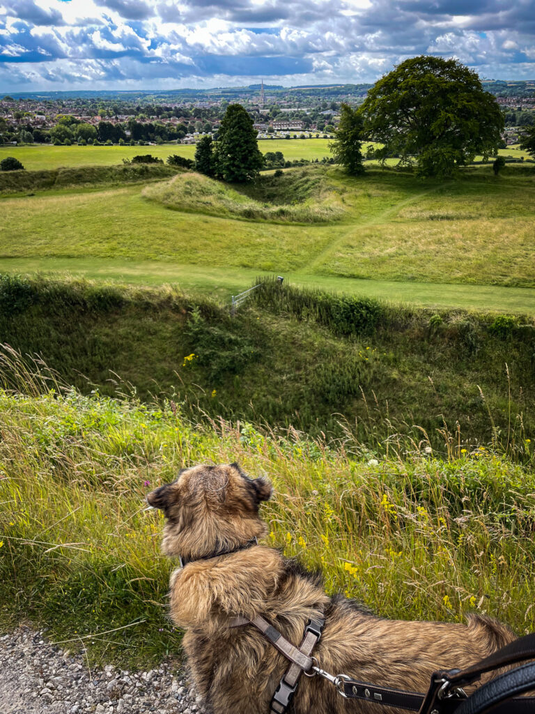 Old Sarum mit Blick auf Salisbury