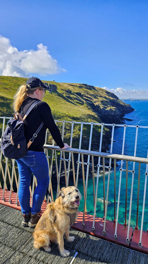 Tintagel Castle