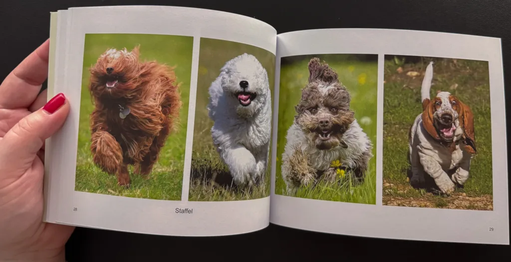 Aus dem Buch "Der herabschauende Hund" | Dumont Verlag