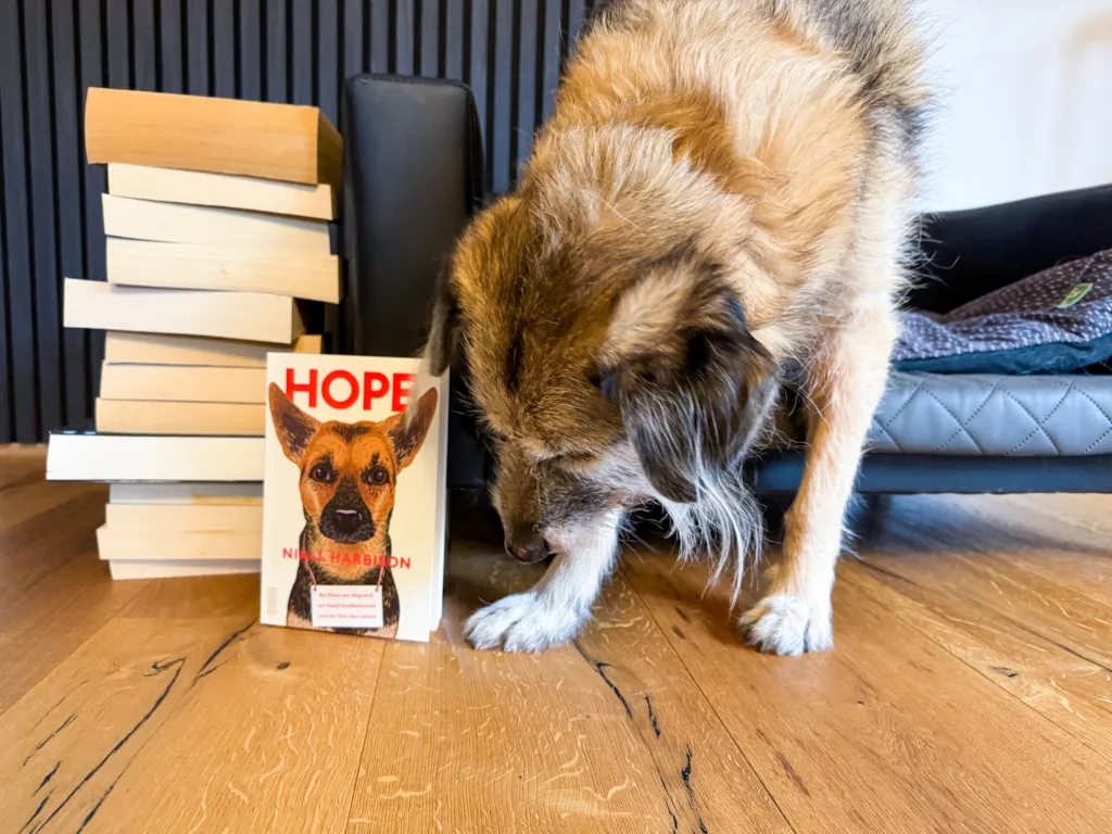 Niall Harbison - Hope - SteffisSchreibsicht-1