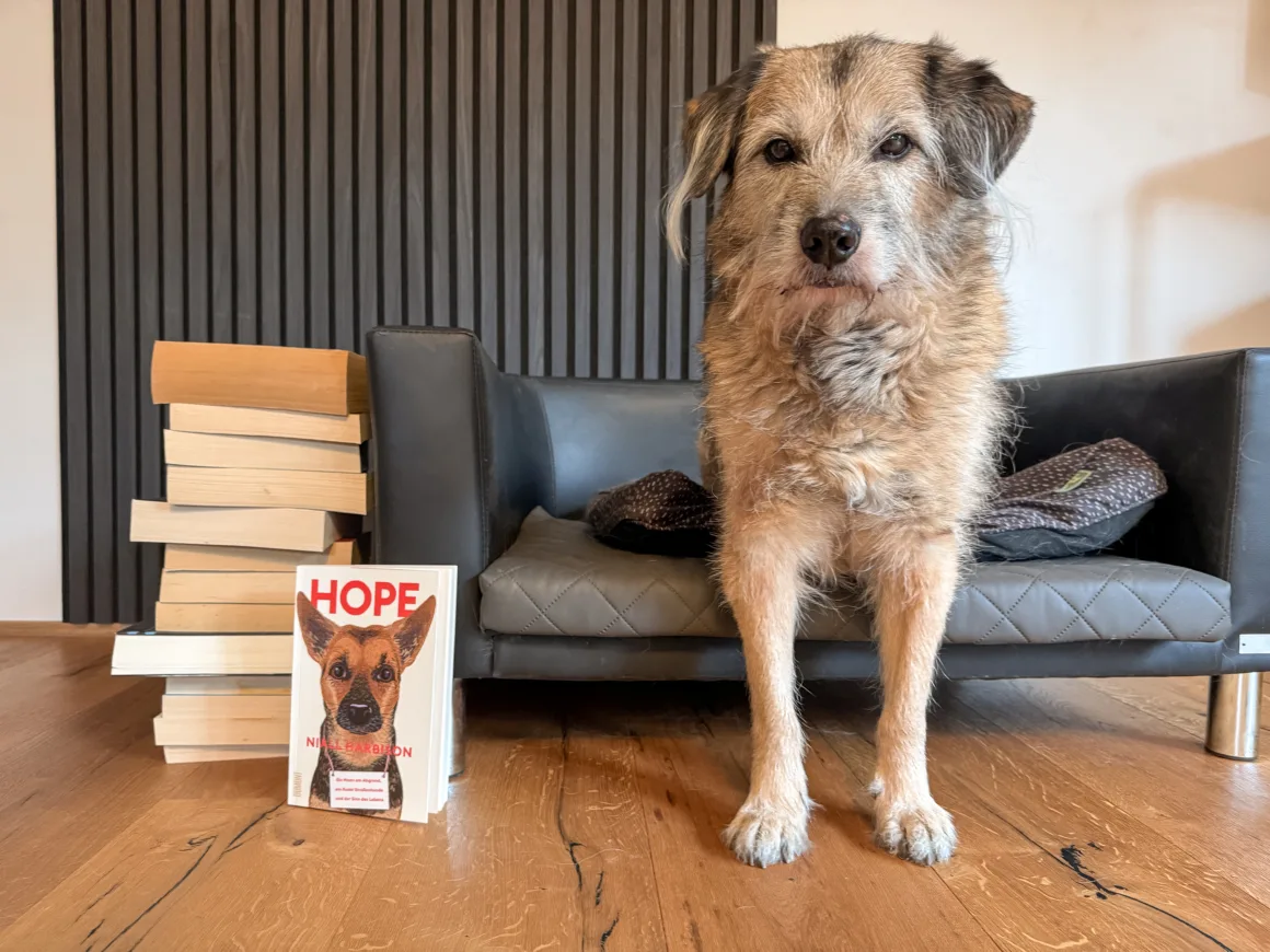 Niall Harbison - Hope - SteffisSchreibsicht-1