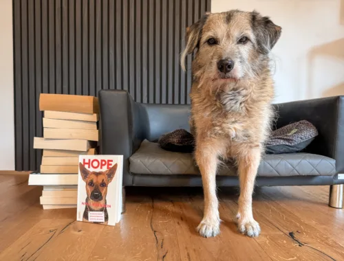Niall Harbison - Hope - SteffisSchreibsicht-1