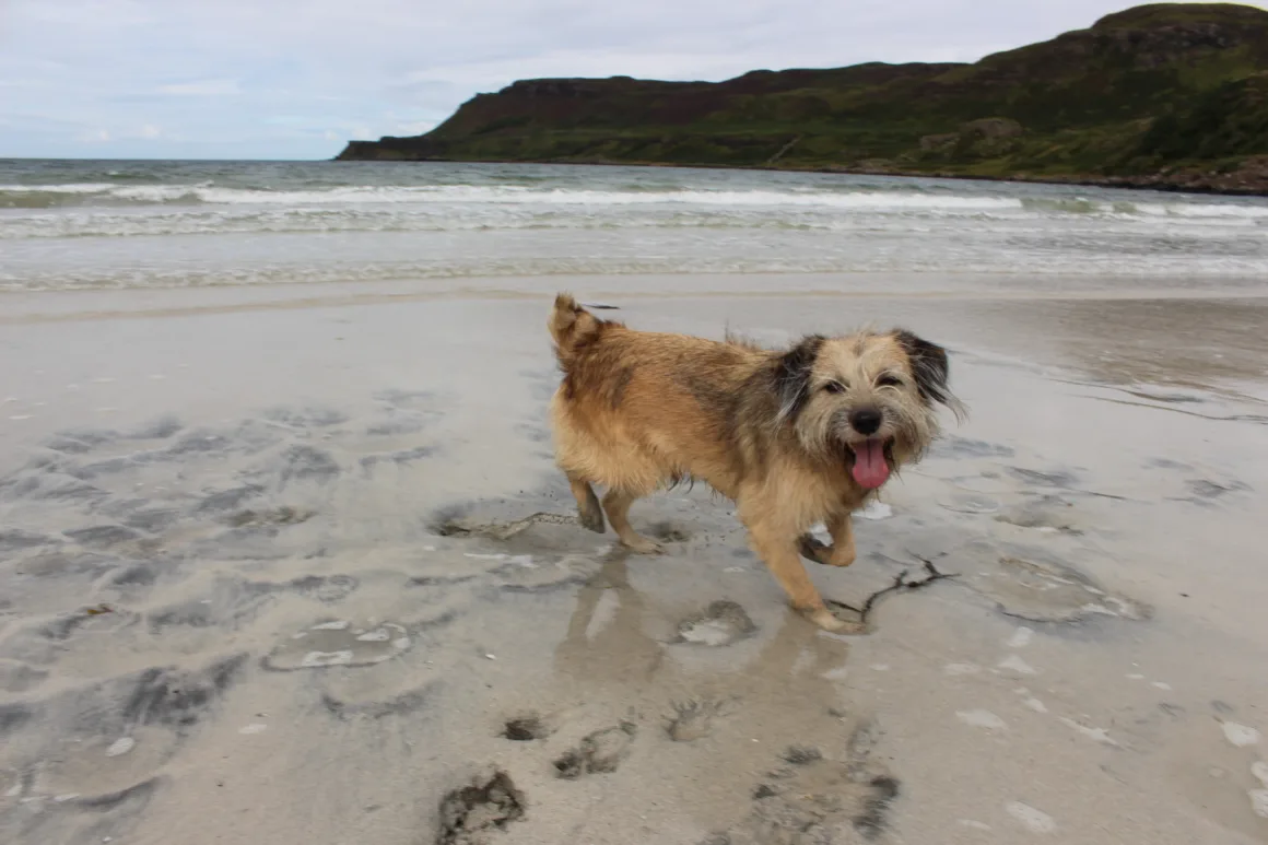 Boerne am Strand